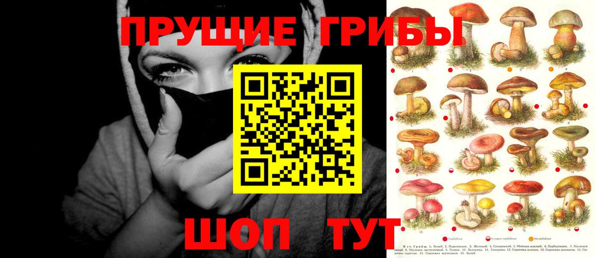 Галлюциногенные грибы мицелий Кудымкар
