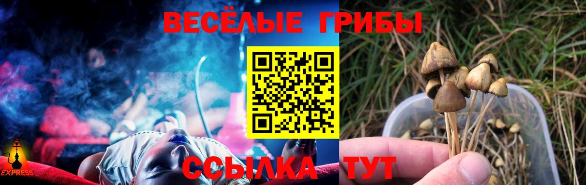 Кудымкар  Галлюциногенные грибы ЛСД  Псилоцибиновые грибы GOLDEN TEACHER  Вход с VPN 
